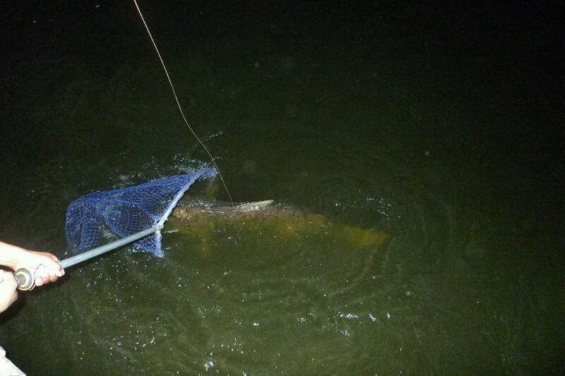 [q][i]อ้างถึง: angelfish posted: 03-03-2555, 11:21:27[/i]

สุดยอดเลย   หัวหน้า[/q]


หายเงียบ อ