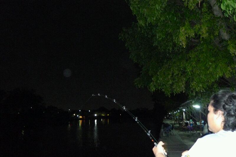[q][i]อ้างถึง: ปลาค๊าฟ posted: 03-03-2555, 11:49:03[/i]

สวัสดีครับน้ายอดและน้าๆหน้าลื่นฯทุกท่านคร