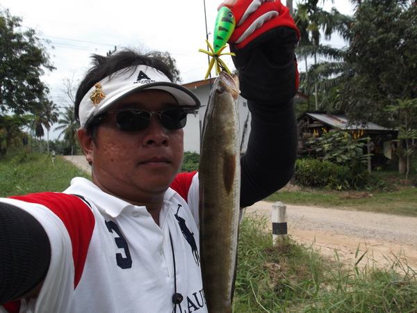 [q][i]อ้างถึง: BULINO posted: 04-03-2555, 07:41:17[/i]

+1ตามเชียร์ครับน้า
 :cheer: :cheer: :chee