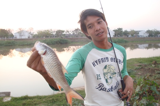 ถ่ายให้กรูหน่อย... :grin: :grin: :grin: :grin: :grin: