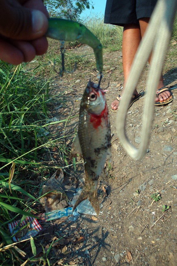 ตีโชว์ตาเปี๊ยกนิดนุงนะ...

..ป๊าดดดด......สร้อยมาไงว่ะ... :grin: