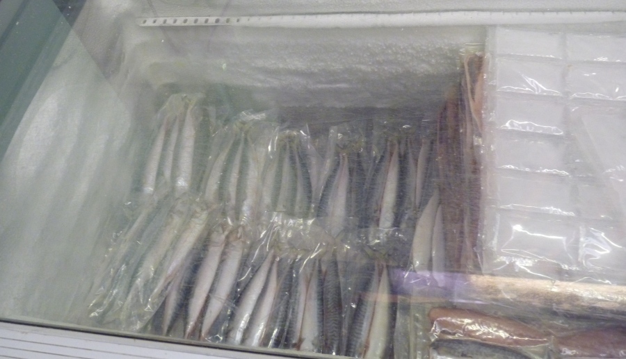 มีปลาทูแช่แข็ง (mackerel) ไว้ขายด้วย ปกติหน้าร้อนแทบจะไม่ต้องซื้อ เำพราะมันตกง่ายเต็มทะเลไปหมด