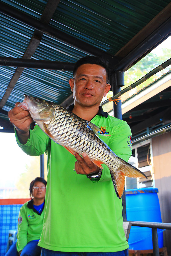 +++ป๊าดดดดกระสูบ..เฮียซ้ง....น่าจะมีลุ้นที่ 1 เลยนะเนี้ย 1.7 กิโลกรัม :cheer: :cheer: :cheer: :cheer