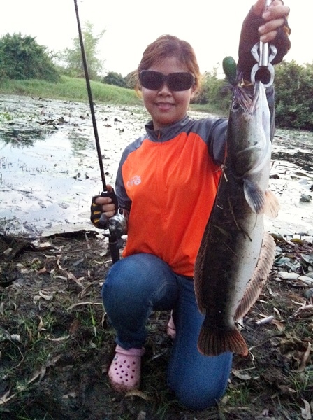 [q][i]อ้างถึง: ganoman posted: 05-03-2555, 15:41:33[/i]

ตามชมตามเชียร์ครับป้าหนิง.งงงงง :cheer: :