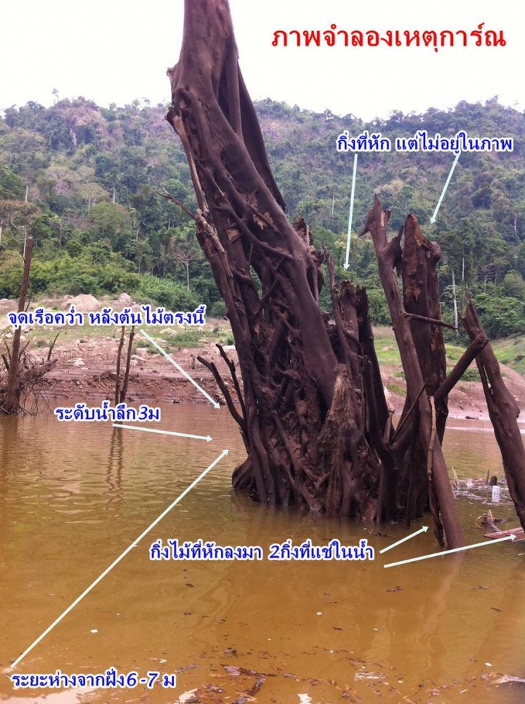 เปิดภาพและคำอธิบายรอไว้ก่อนเลยครับ

แล้วผมจะอธิบายว่าเกิดขึ้นได้ไงครับ

เพราะต้นไม้ต้นนี้หละครับ