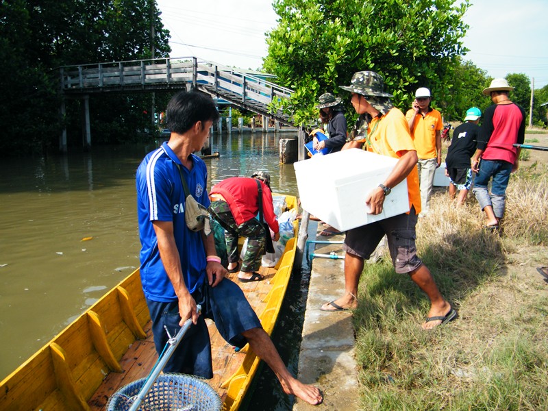 เรือพร้อม คนพร้อม ลุยๆๆๆๆๆๆๆๆๆๆๆๆๆๆๆๆ