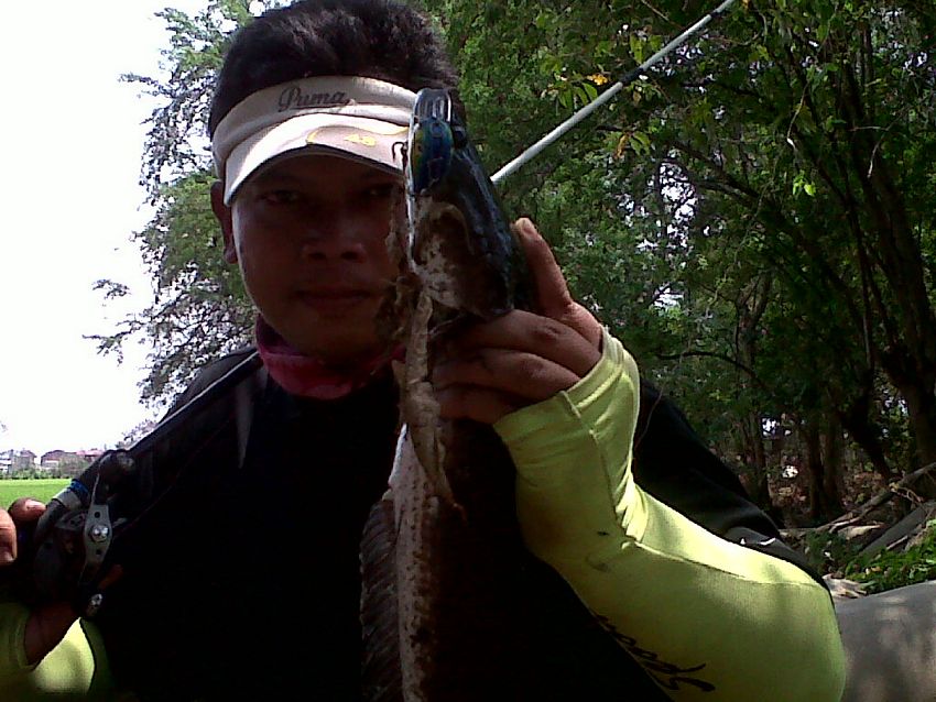 ของผมเองค้าบบบบบ