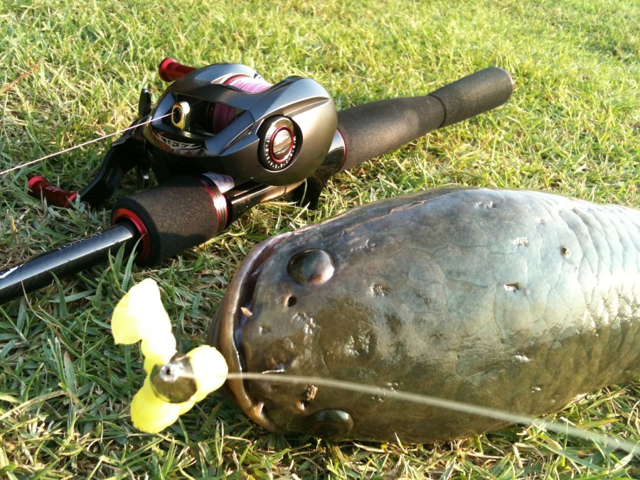 Steez Tomcat ( Japan spec ) + Steez reel 100SHA     :grin: :grin: :grin: