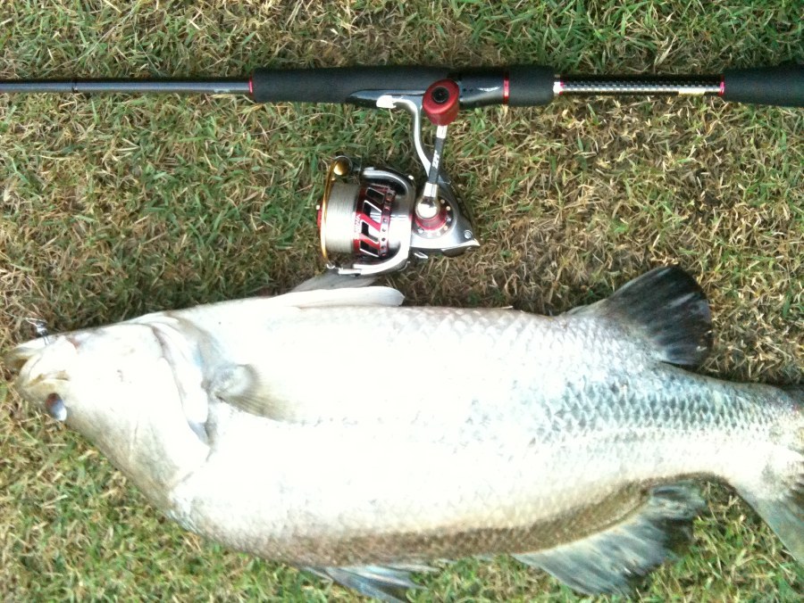 Spinning   Steez  King Bolt ( Japan spec ) +  Daiwa Exist Hyper custom 2508   :grin: :grin: :grin: