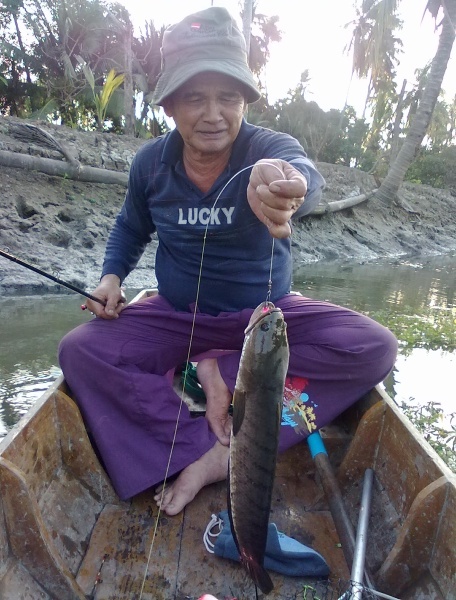 กบป๋าหลำ ขนาด 5.5 cm. หายเข้าปากไปเลยตัวนี้ :grin: