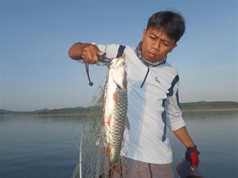  


     1  หล่อกับ Megabass   Cyclone ครับ 


  :smile: :smile: :smile: :smile: :smile: :smil