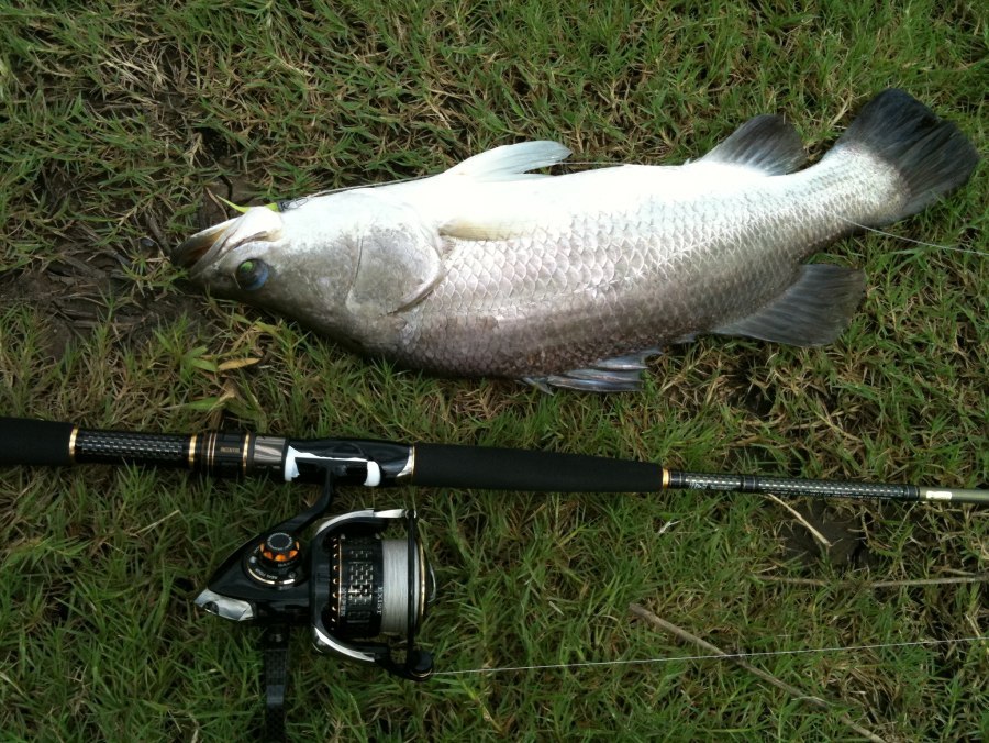 Morethan  Branzino  Day Breaker Custom 8' 2"  +  Exist  Morethan Branzino 2508R   :grin: :grin: :g