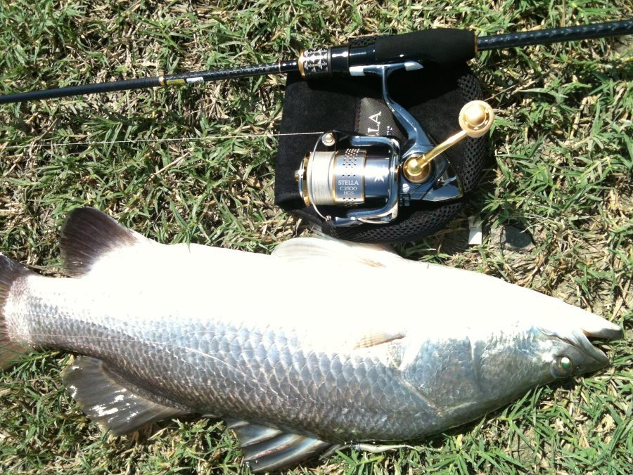  Poseidon salty sensation 7'  3 "  เวท 2-5 lb +  Stella C2500HGS  , line pe 0.6   :grin: :grin: :g