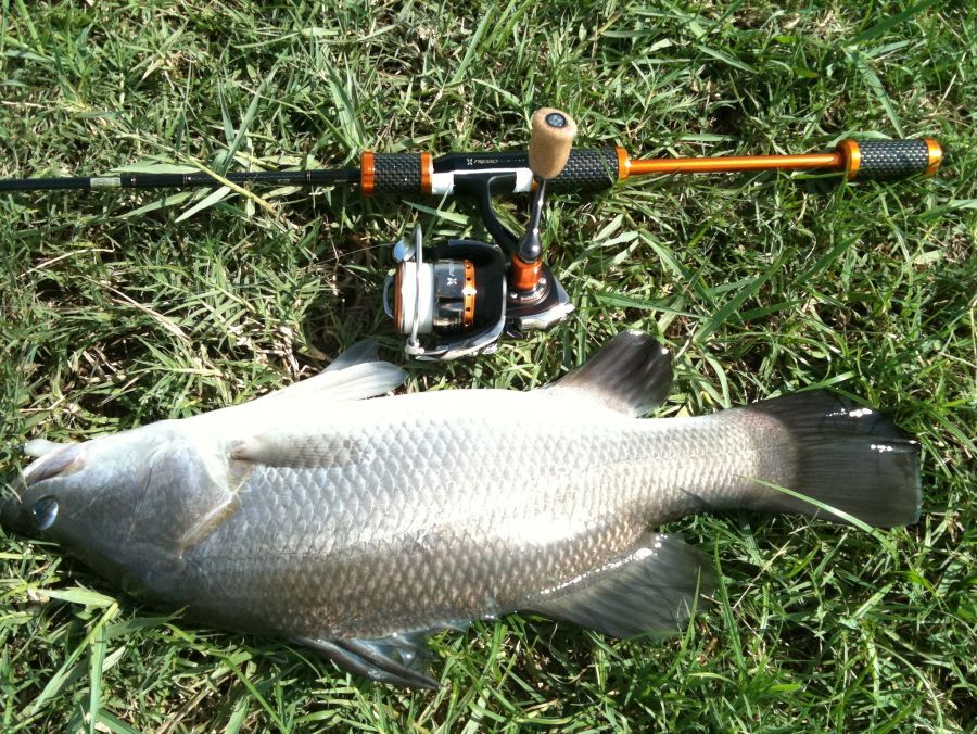 Presso Area Trout Limited AGS 7'  4" เวท 2-4 lb + Presso 1003 , line pe 0.4   :grin: :grin: :grin: