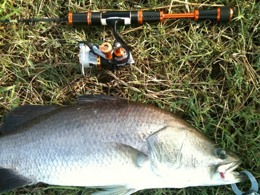 Presso Area Trout Limited AGS  6'  เวท 2-4 lb  + Presso 1003 , line pe 0.4 :grin: :grin: :grin:
