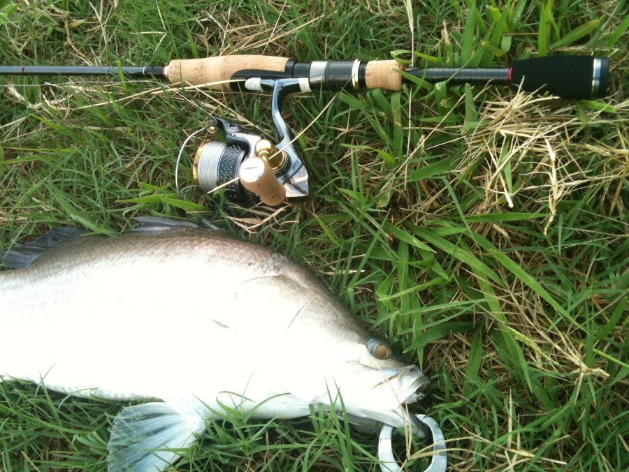 Temujin  Kaleido Designo Spinning M-1 ( solid tip ) 2-6 lb  + Stella 1000S , Yumeya limited spoon C2