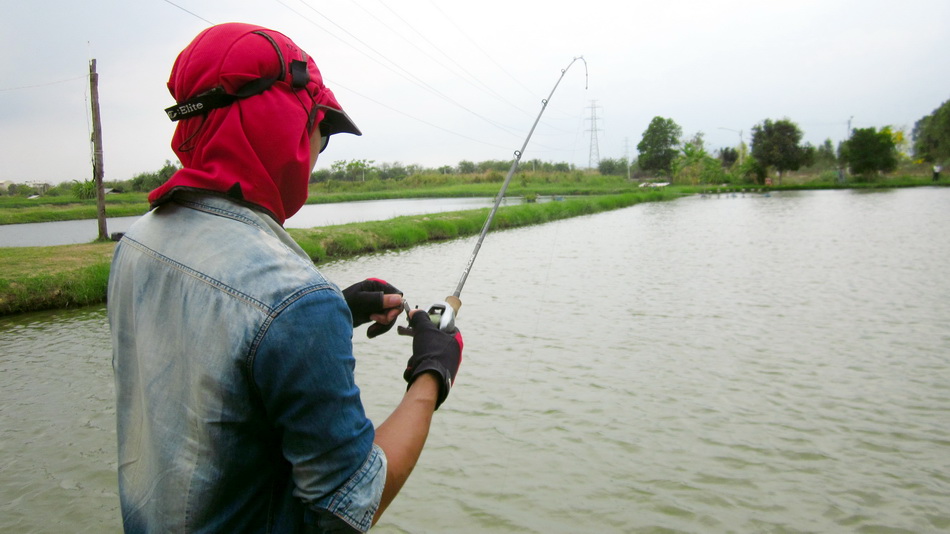 เวทคันที่เดียวใช้ สำหรับ ตระกูล TETRA WORK  เดียวจะใช้คันเวท 6-14   เพราะจะได้รับความรู้สึกจากเหยื่อ