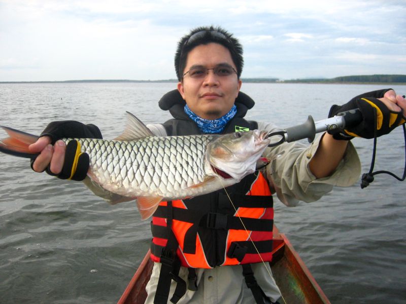 ประแสร์ครึ่งวัน (กับเค้าบ้าง)