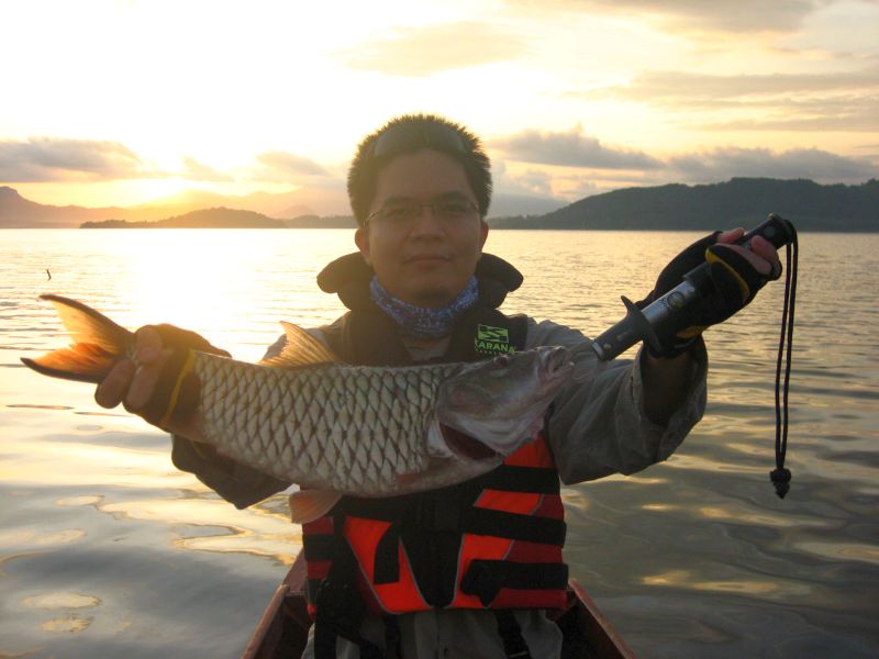 ไต๋บอกว่ามาด้วยกัน จัดไปคนละแชะ ก็เลยต้องตามใจแกซะหน่อยครับ ตัวนี้ชั่งด้วยกริปเปอร์ ได้ 2 กว่าเล็กน้