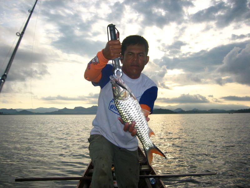 ตีไปอีกไม่นานก็ได้เจ้าตัวนี้ขึ้นมา มันเป็นปลาขึ้นฝูงครับ ไต๋เป็นนายแบบ ตามเคย :cool: :cool: :cool: