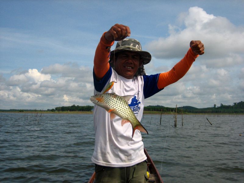 ขวา :laughing: :laughing: :laughing: ปลามัดกัดผิดครับ แต่มันก็ติดครีบกับหลังมาจนได้ :cool: :cool: