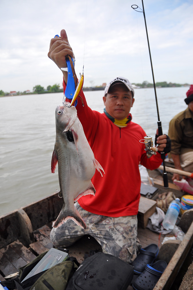 
ตัวนี้เป็นหูดำครับ   กินเหยื่อECO GEAR  ไม่เคยได้แบบนี้มาก่อนเลย   :laughing: :laughing: