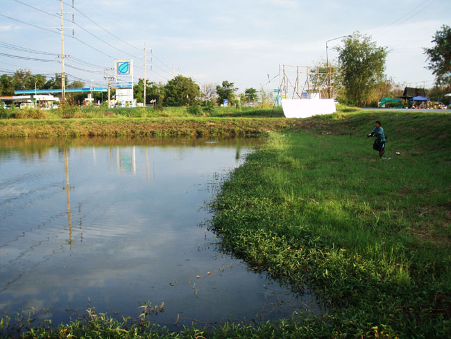 น้าปุ๊กไม่พูดพล่ามทำเพลง "ตราบใดที่ตะวันยังไม่ลับฟ้า ข้าก็ยังมีหวัง" เนอะปุ๊กเนอะ :grin: :grin:

