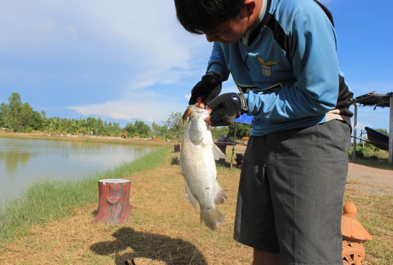 ปลดปล่อยย :talk: :talk: :talk: