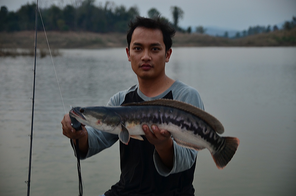 พี่เอสจัดไส้เดือนมาอีกตัว :grin: