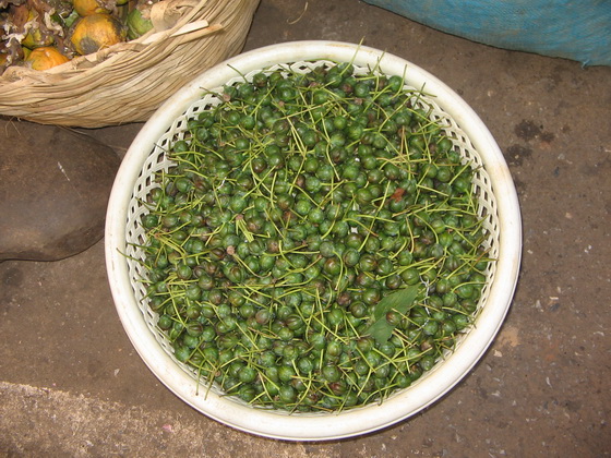 พี่น้องครับผมเจอไอ้ลูกแบบนี้ที่ตลาดทองผาภูมิเขาเรียกว่าลูกอะไรครับ