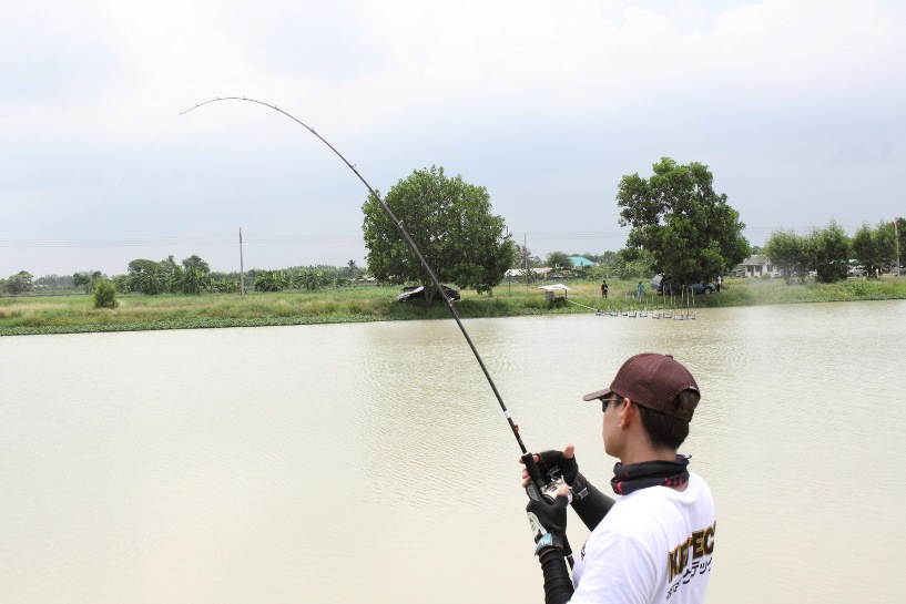 CTS EBX 10-20lbs 6ft Custom Blank