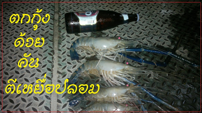 ตกกุ้ง ด้วยคันตีปลอม(ครั้งแรกเลย)