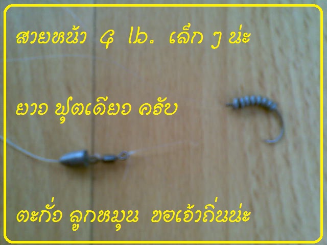 ขอไปช้า  ๆนะครับ  

สายหน้า  สำคัญที่สุดเลย

เจ้าถิ่นใช้สาย 10 lb. ไม่มีกุ้งกินเหยื่อเลย  3 คัน 