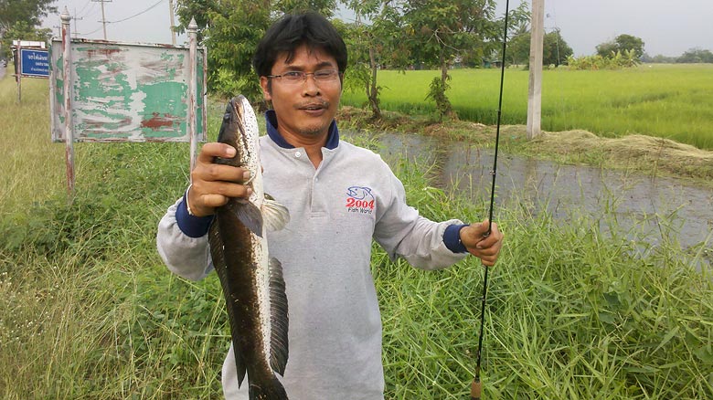 ขออีกรูป วันนี้ฝนจะตกเวลาน้อยๆๆ