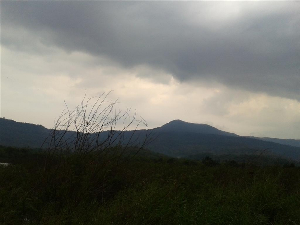 สภาพอากาศครับทั้งเมฆทั้งลม ฝนจะตกไหมเนี่ย