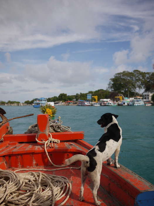 หมดเวลาแล้ว 4โมงเย็น เด็กเรือยื่นหัวเรือ เตรียมเทียบท่า