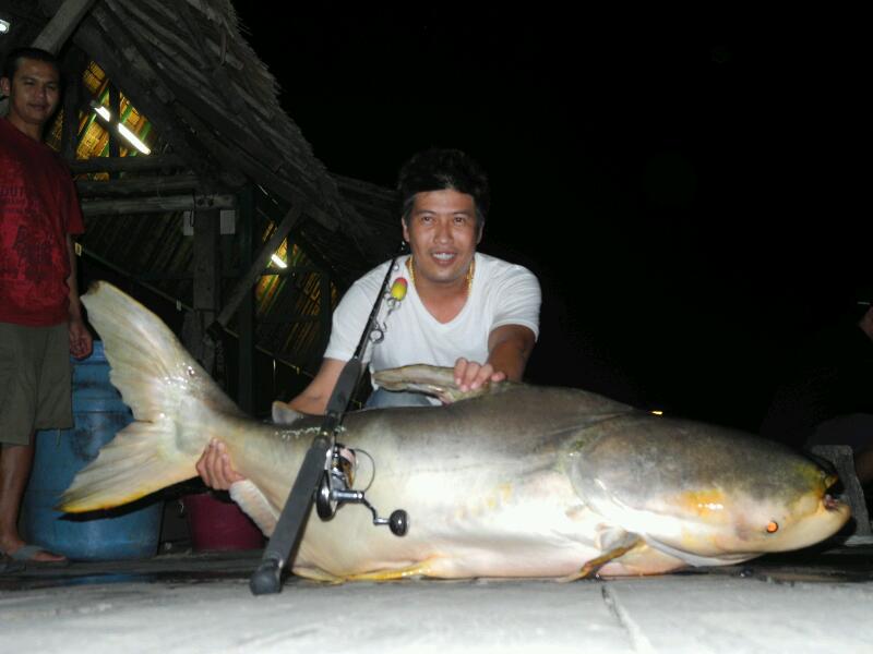 zenaq 20 oz + stella 8000 sw pe 8 shok 100 lb เปิดเบรคหมด ยังเล่นตั้ง 3 นาที กับปลาตัวแค่เนี่ย อ่อนจ