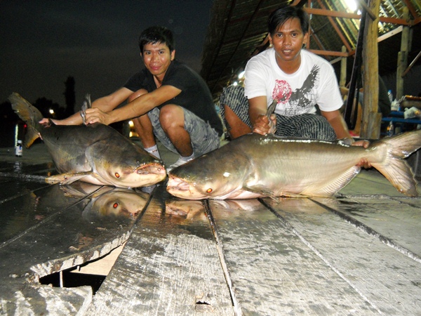 โชว์หล่อครับพี่มดพี่วุฒปลาทู :cool: :cool: :cool: