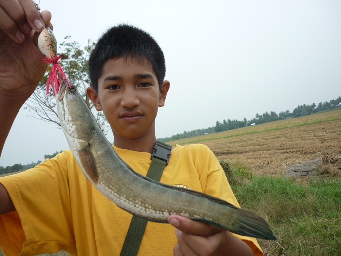 อีกแล้ว :grin: :grin:
