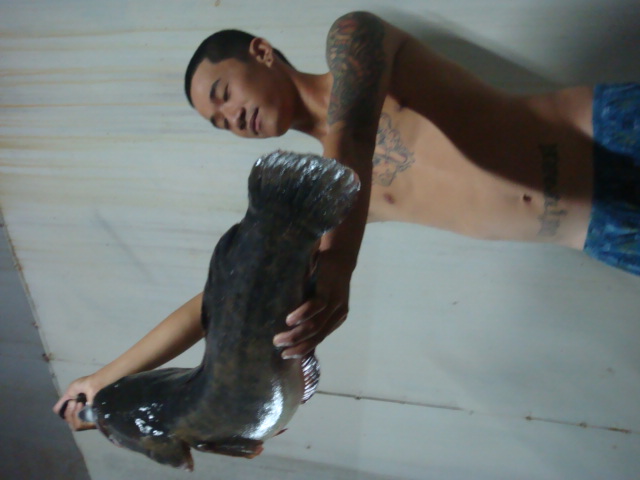 ขอยืมปลาพี่ๆมาหล่อก่อนนะครับ แหมเสียดายไม่ได้ไปด้วย......
 :laughing: :laughing: :laughing: :laughi