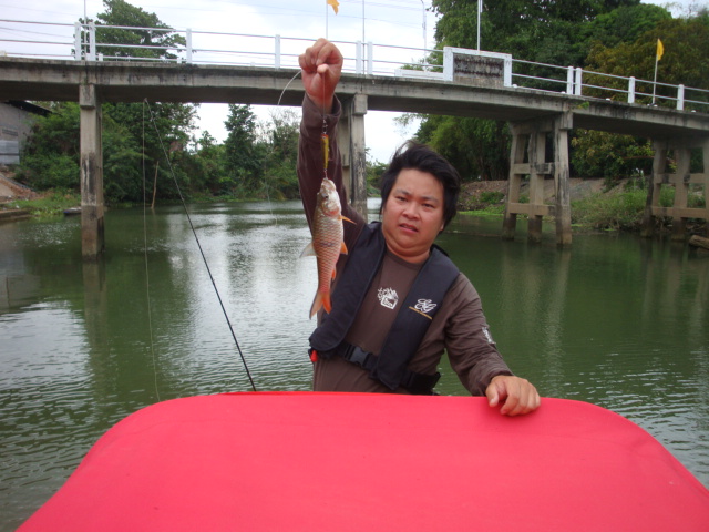  :laughing: :laughing: :laughing:มาอีกแระ กัดทั้งวัน :laughing: :laughing: :laughing: