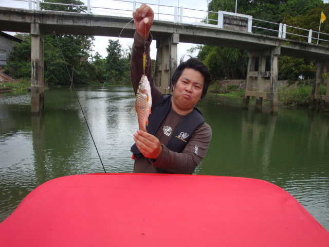  :grin: :grin: :grin:กินได้นะไซร์นี้ :grin: :grin: :grin: