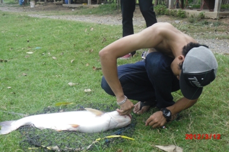 ผมทำท่าไปอย่างงั้นแหละปลดไม่เป็นหลอกครับ :laughing: :laughing: :laughing: