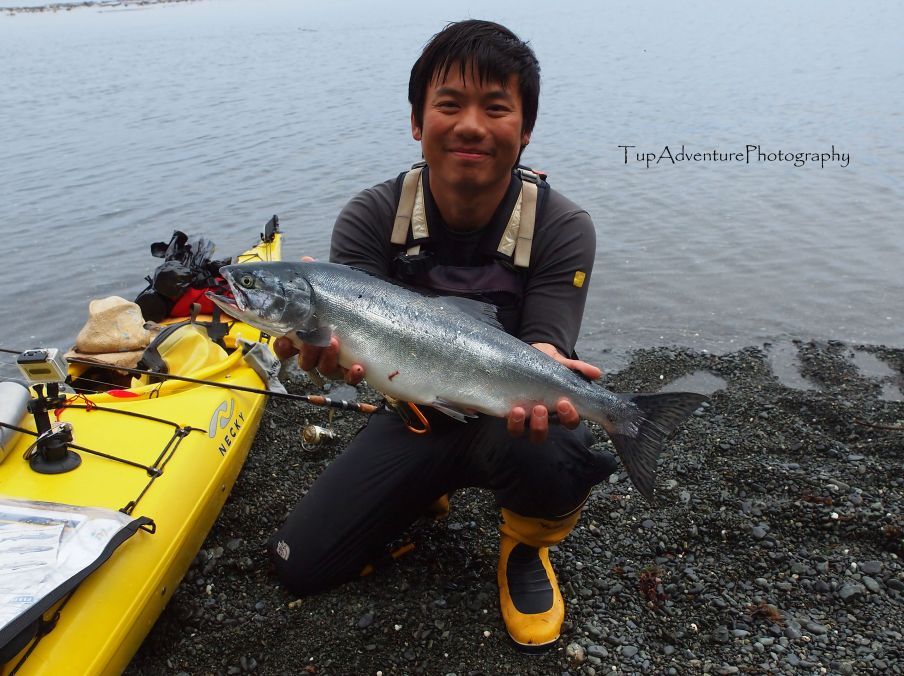 Pink Salmon หรือ ปลาแซลมอนสีชมพู เป็นชนิดเดียวจาก 5 ชนิดในหมาสมุทร Pacific ที่ผมสามารถตกได้โดยวิธี C
