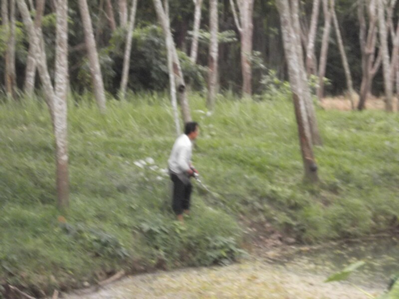 มุมนี้น้าสามโดนกัดแต่ไม่ถูก อิอิ 