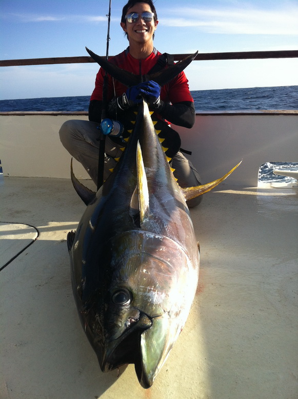 tuna 220 lb