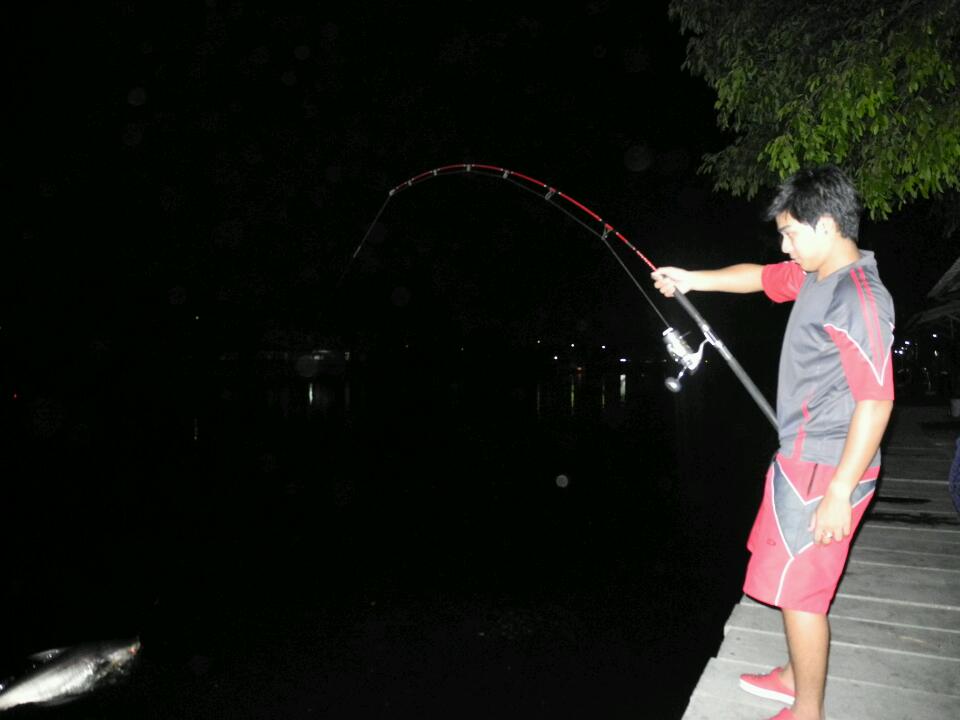 ลอยมาเลย