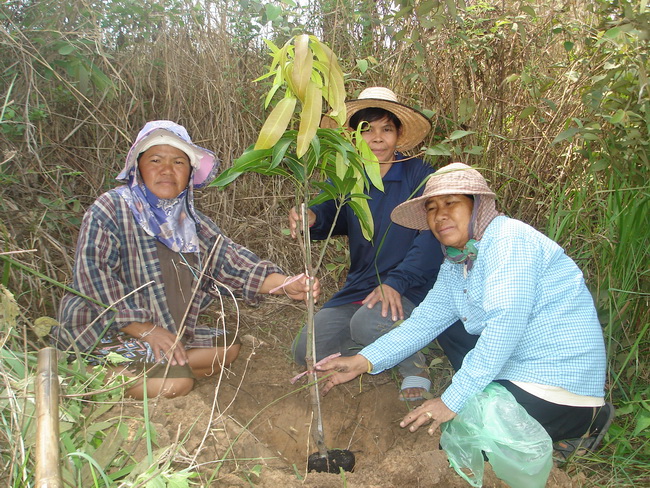 มติของเครือข่ายที่นี่เน้นปลูกไม้ผลครับ :smile: