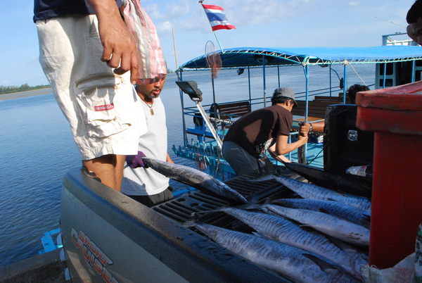 ถึงท่าเรือแล้วครับขนปลาขี้นรถกันครับ
 :laughing: :laughing: :laughing: