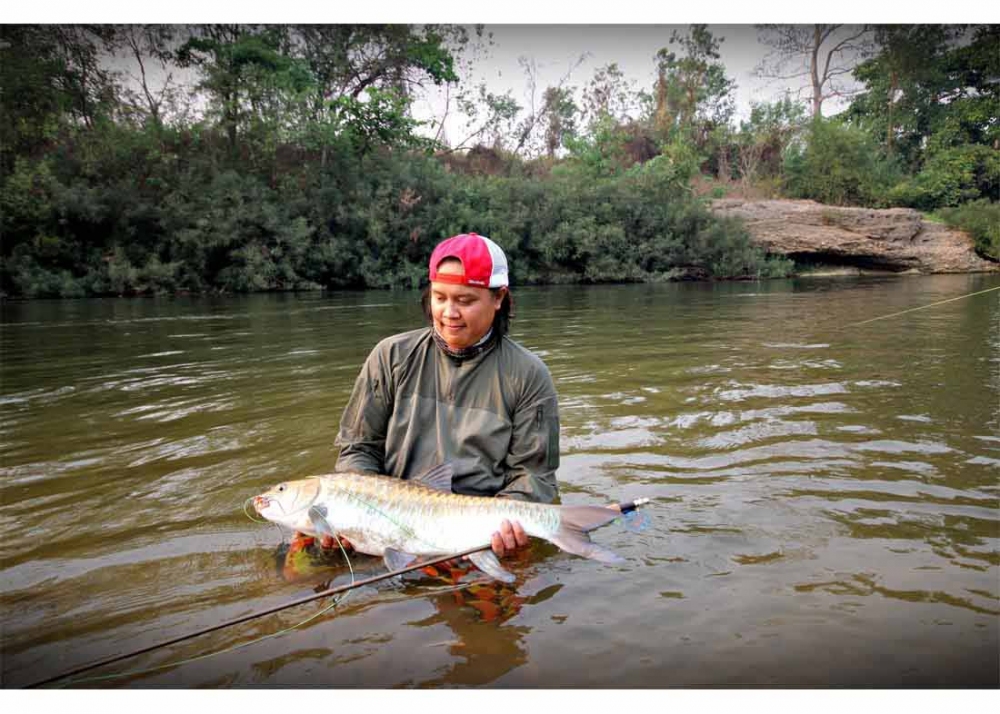 กาลครั้งหนึ่งกับปลาพลวง ( Mahseer barb) ณ. ต้นน้ำในพม่า
